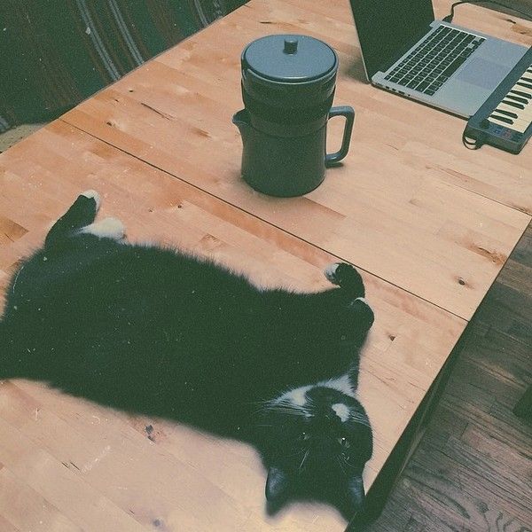 Com Truise using M-Audio Keystation Mini 32 MKII