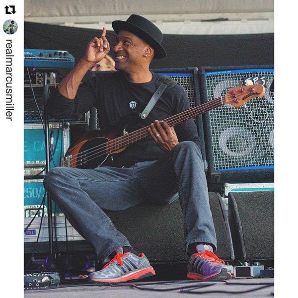Marcus Miller using Ernie Ball Music Man Stingray Bass
