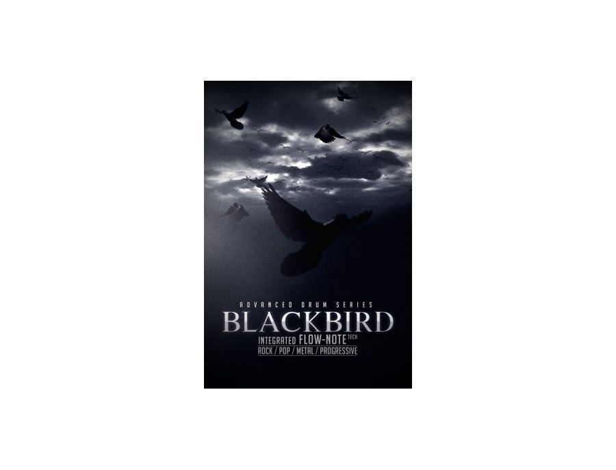 8Dio - Blackbird Kit: Compare Prices, Read Reviews & Buy | WhatGear™